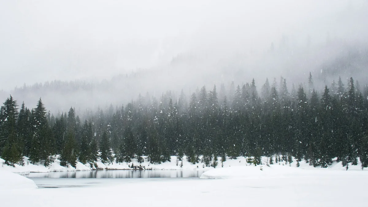 Snow-covered evergreen shoreline under winter mist illustrating winter 2026 2027 snowfall predictions across the US